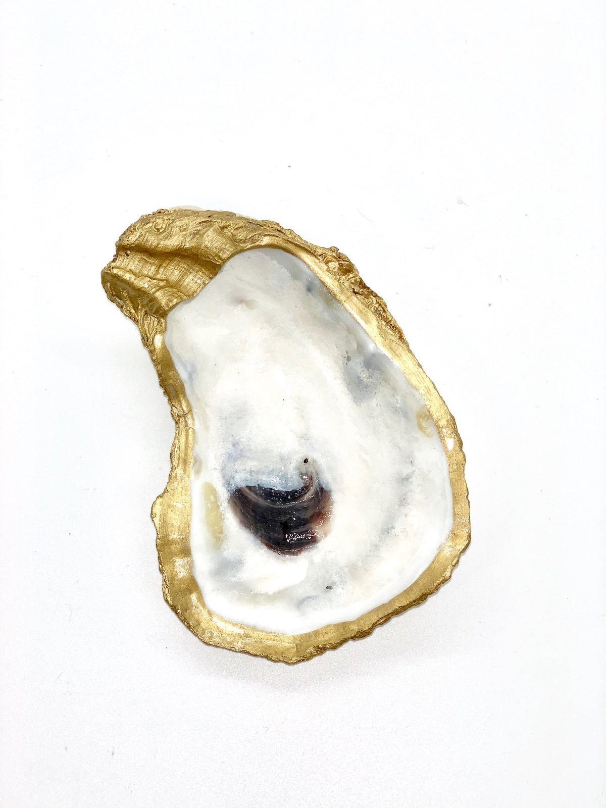 Oyster Shell Trinket Dish